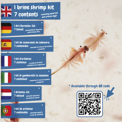 Jurassic Pets Kit I. Jogo didático para crianças